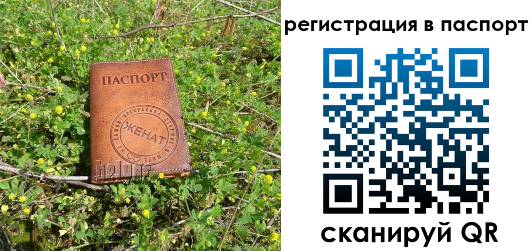 прописка законно в Сольцах