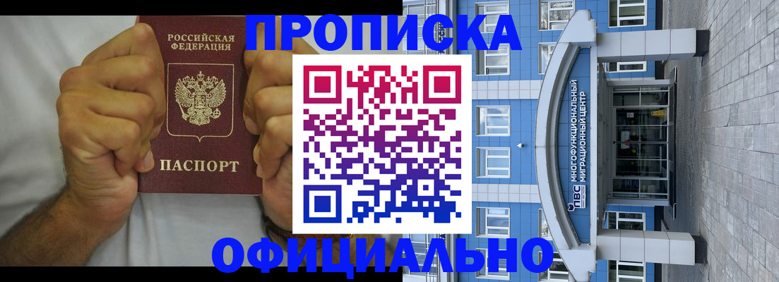 купить прописку в Сольцах